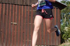 0291-scaled
