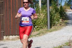 1331-scaled
